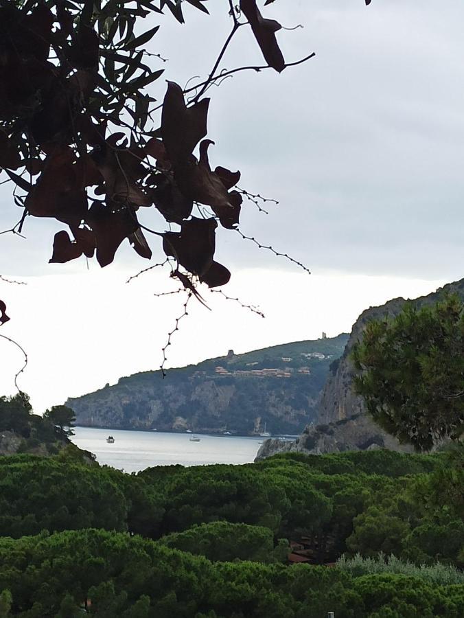 Tenuta Del Bifan Casa di campagna